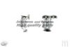 ASHUKI B527-41 Catalytic Converter
